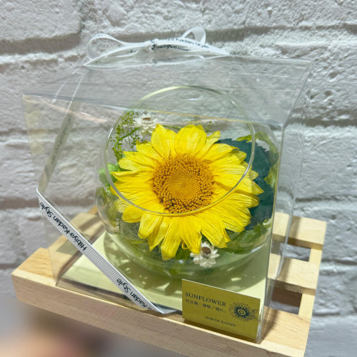 🌼夏のフラワーギフトに🌼