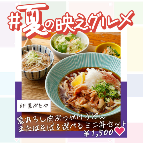 【夏の映えグルメ】鬼おろし肉ぶっかけうどんまたはそば&選べるミニ丼セット