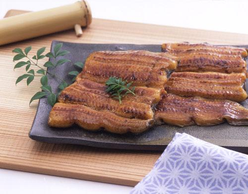 土用の丑にうなぎはいかがでしょうか？