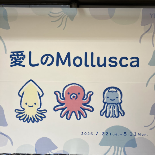 愛しのMollusca
