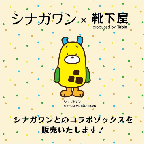 8/24(日)〜発売！ シナガワン×靴下屋アトレ目黒店限定コラボソックス