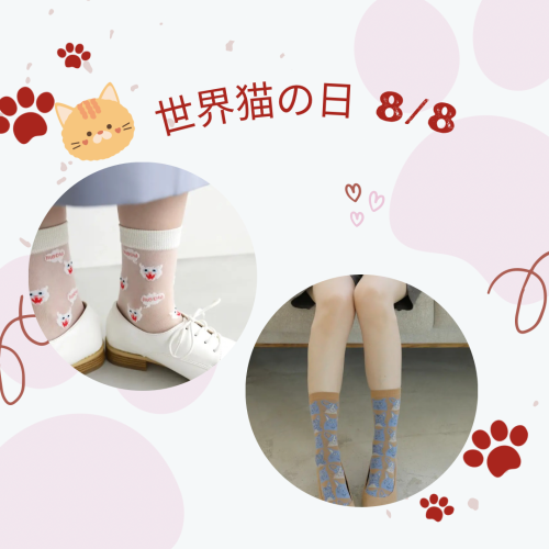 ネコ🐈ソックス