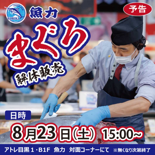 マグロの解体ショー開催🐟✨