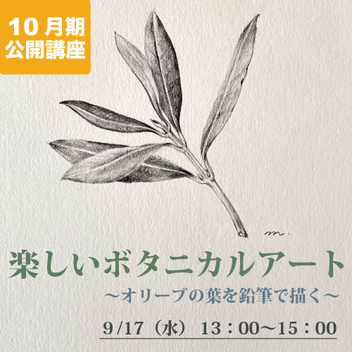 公開講座　楽しいボタニカルアート　　　　　～オリーブの葉を鉛筆で描く～