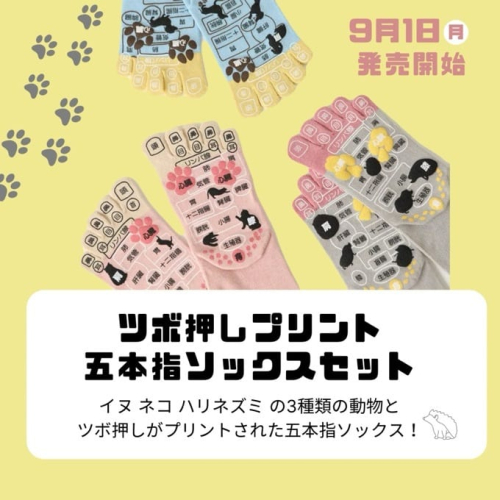 あの『アニマルツボ押しソックス』が登場★