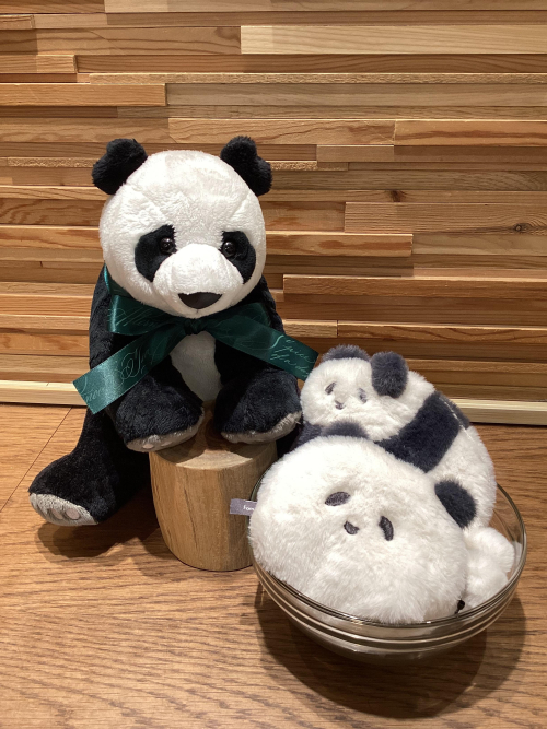 🐼上野店限定アイテムのご紹介🐼