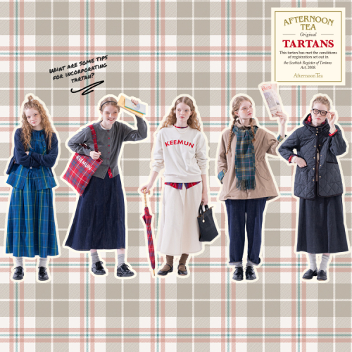 Tartan Collection　新登場！