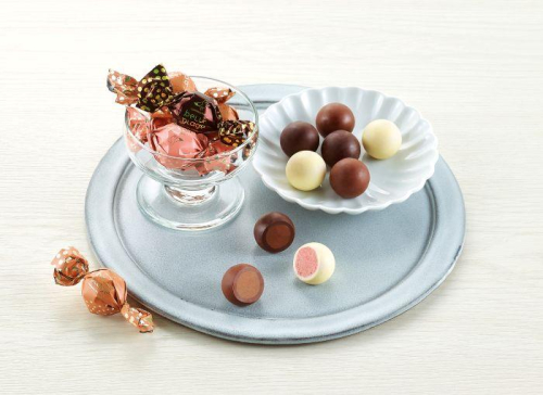 🍫“創業フェア”初日🍫