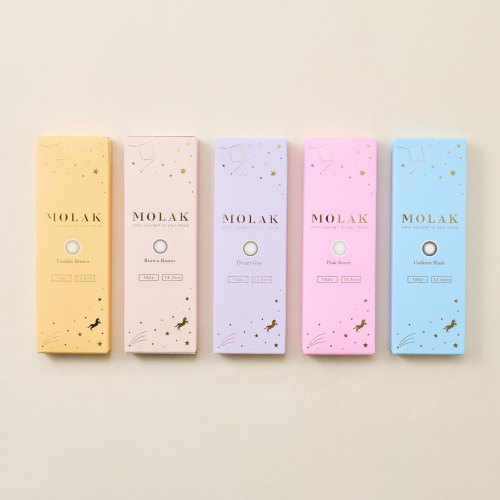 🎄MOLAK（モラク）1day🎄