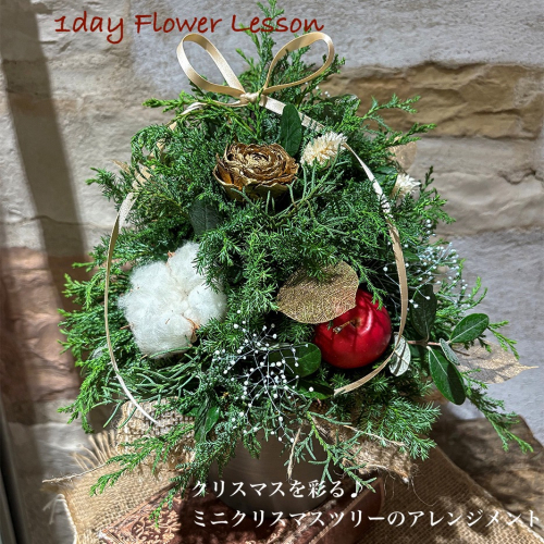 フラワーレッスンのお知らせ〜ミニクリスマスツリーのアレンジメント〜