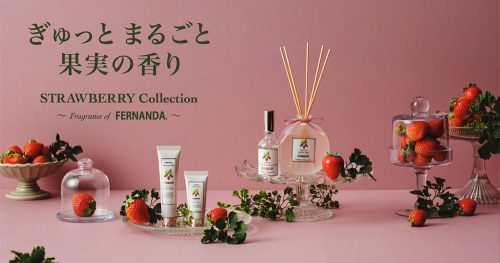 FERNANDAシリーズに新アイテムが登場！🍓