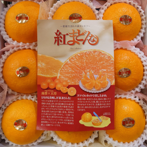 愛媛県産『紅まどんな・ひなの里みかん』が入荷しました🍊