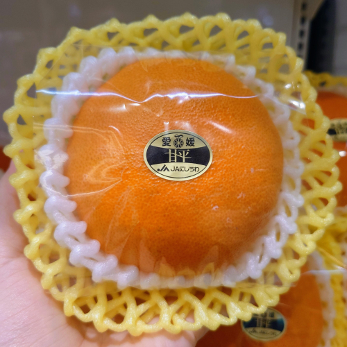 愛媛柑橘のニューフェイス『甘平（かんぺい）』が今季初入荷しました🍊