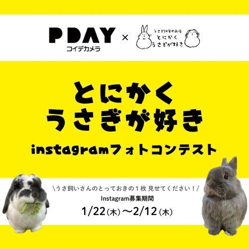 【作品募集中】とにかくうさぎが好き×PDAYアトレ吉祥寺店 Instagramフォトコンテスト