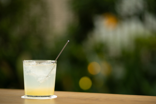 島を味わうFood Fest 2026｜島レモンのレモネード