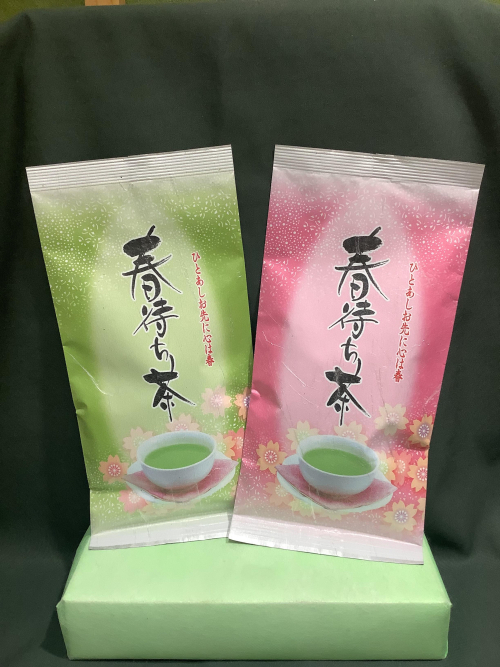 季節限定　🌸春待ち茶🌸