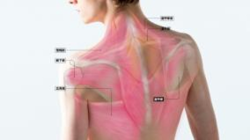 肩甲骨、剥がれていますか？