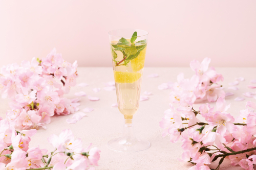 春の柑橘香るスパークリング