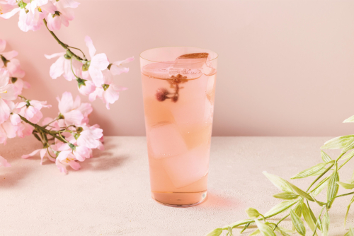 桜【奏でる】角ハイボール