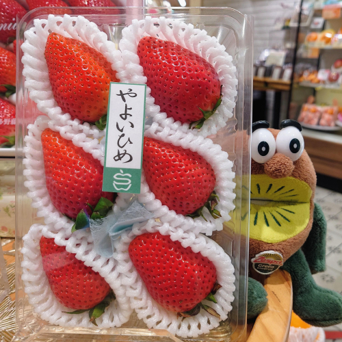今が旬の『いちご』様々な品種が入荷しております🍓✨️