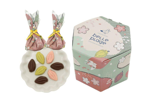 🌸期間限定🌸カカオパーニュのご案内🍵🍫