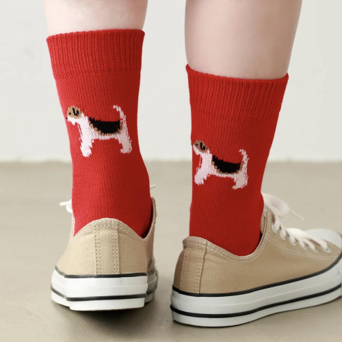 Friendly Dog🐕を履いて散歩しませんか？