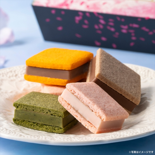 「サブレショコラ 桜」のご紹介です。