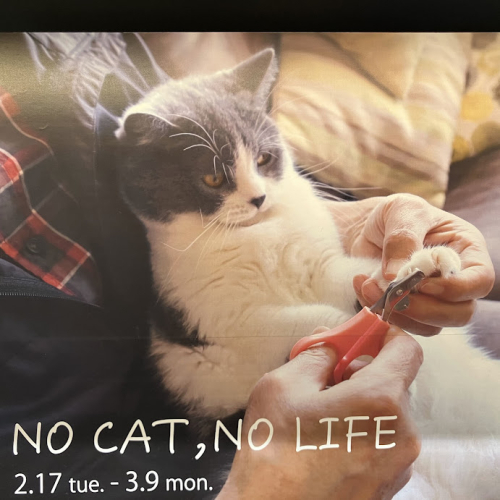 猫がいなくちゃ。