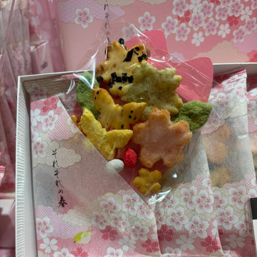 それぞれの春　リニューアルしました〜♪♪