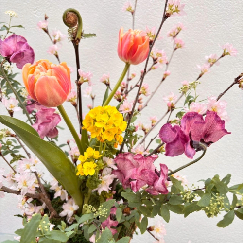 リベルテよりワークショップのお知らせ