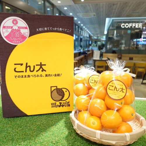 糖度は驚異の20度以上！？スイーツきんかん『こん太』🍊✨️