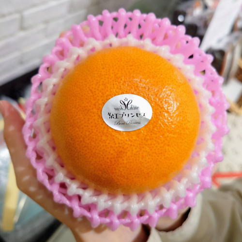 話題の新品種『紅プリンセス』が入荷しました🍊✨️