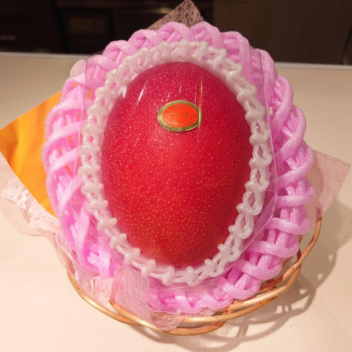 『みやざき完熟マンゴー』今季初入荷🥭✨️