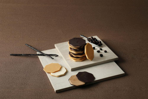 🍫新商品①🍫スナッピーカカオが仲間入り☕️✨