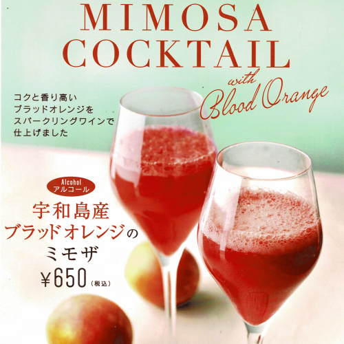 🍊ブラッドオレンジのミモザ🍊登場