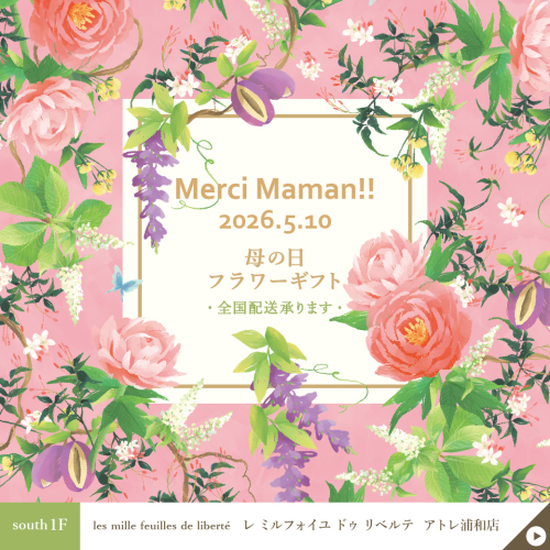 母の日ギフトご予約受付中🌹