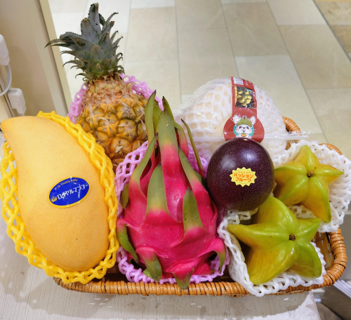 『トロピカルフェア』4/6〜開催です🌴🌺