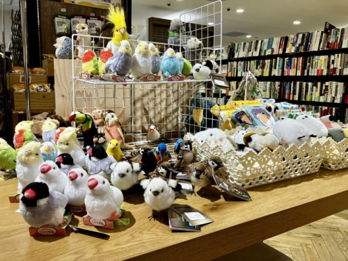 春のぬいぐるみフェア開催中