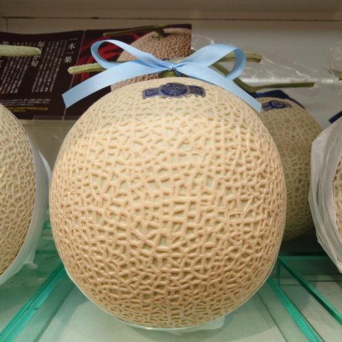 『メロンフェア』4/13〜開催中🍈✨️