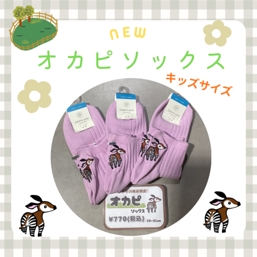 【靴下屋】アトレ川崎店限定⭐️オカピ刺繍ソックス🧦