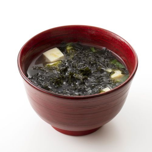 🐠今月のおすすめ🐠
