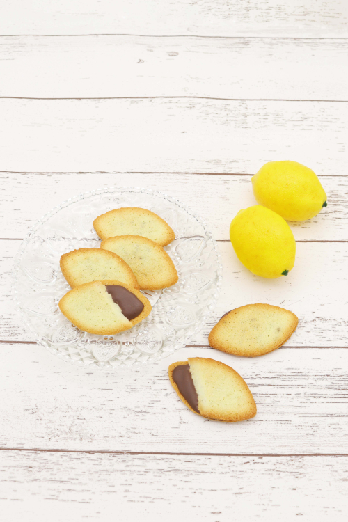 🍋【数量限定】ココサブレ レモンのご紹介🍋✨