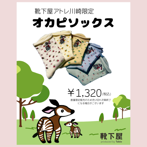 【靴下屋】アトレ川崎店限定⭐️オカピソックス🧦