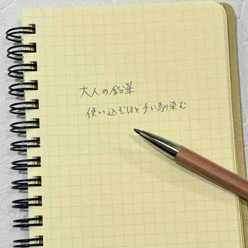大人の鉛筆