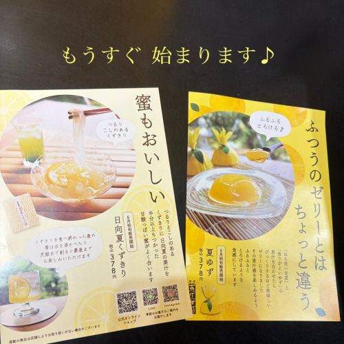 初夏のお知らせ② 『夏ゆず・日向夏くずきり』