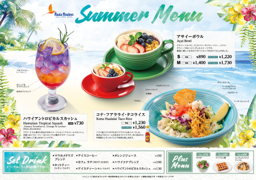 夏フェア開催！