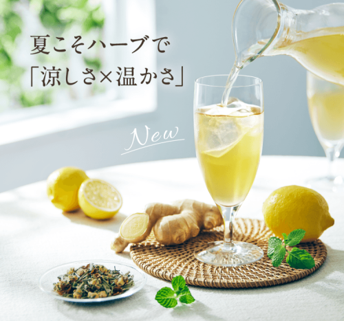 ［限定］夏こそ！ 清涼温活 檸檬ジンジャー美巡茶