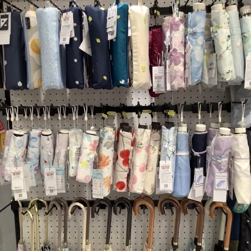 【SALE】雨傘がプライスダウン！