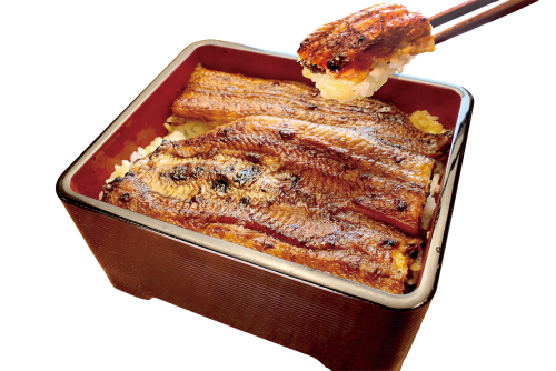 期間限定！　うな重のご紹介
