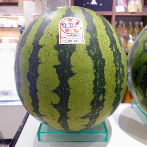 シャリッ！ジュワッ！『尾花沢すいか』登場🍉✨️